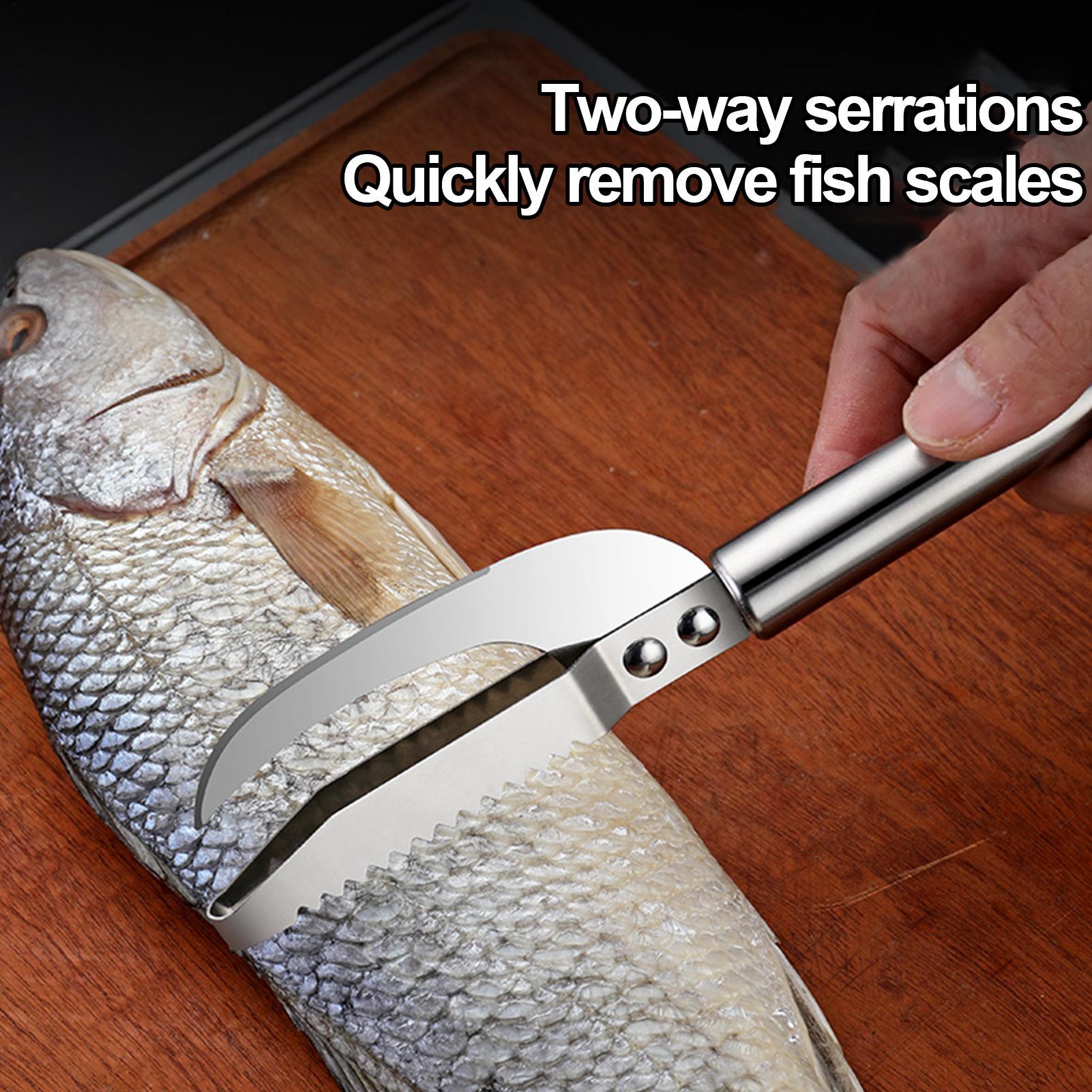 Vis-schubbenverwijderaar mes g - Kitchen Gadgets That Are Useful recensie en prijs
