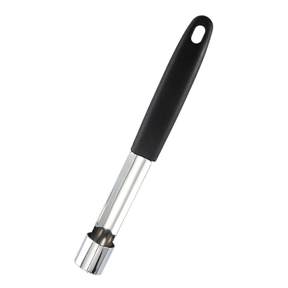 2-delige roestvrijstalen fruit - Cherry Pitter Tool recensie en prijs