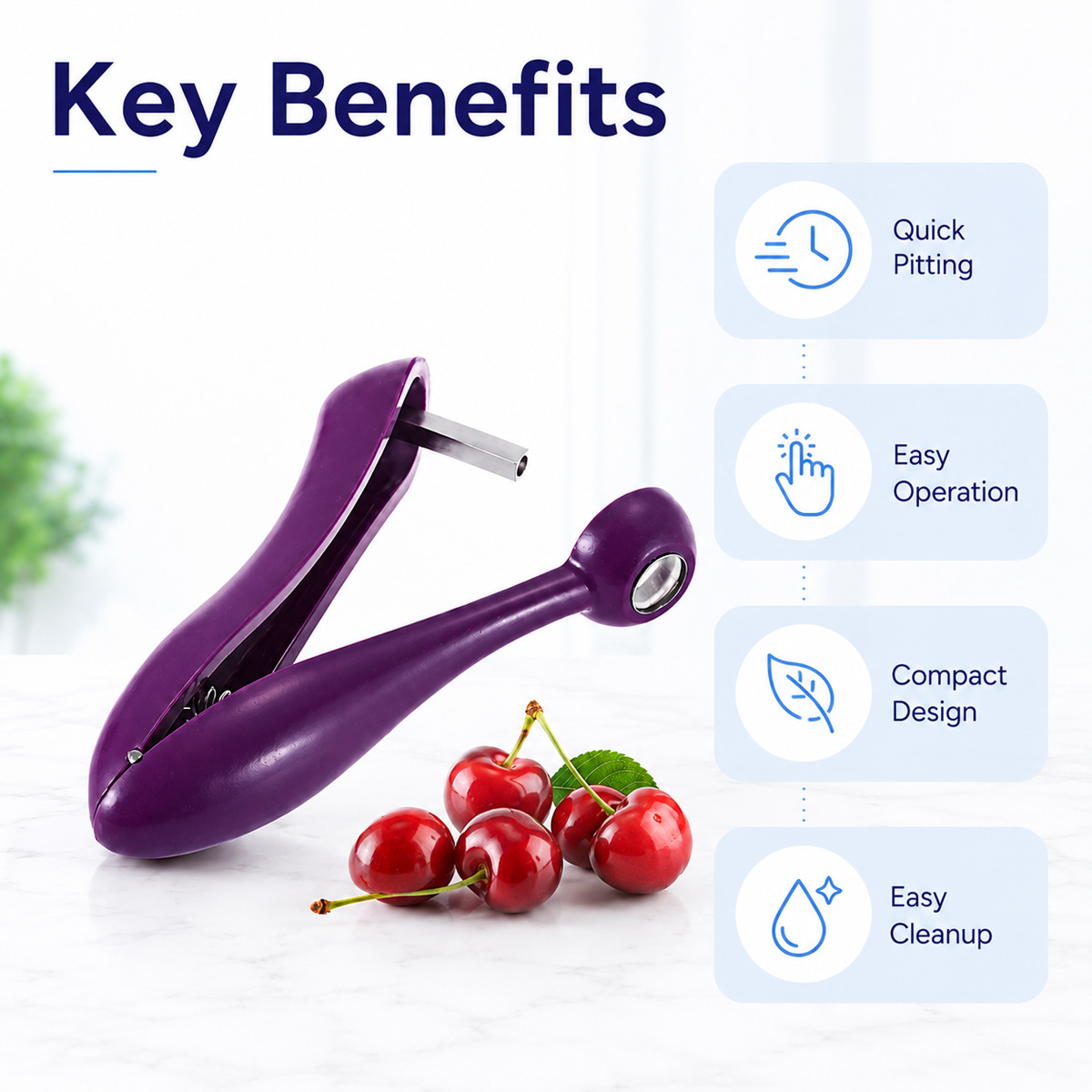 Handmatige kersenontpitter en  - Cherry Pitter Tool recensie en prijs
