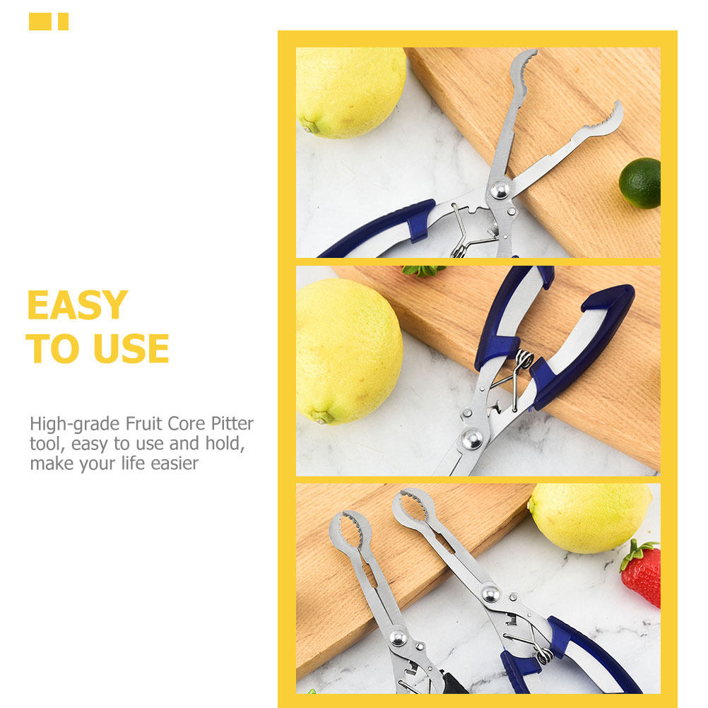Roestvrijstalen doornenontpitt - Cherry Pitter Tool recensie en prijs